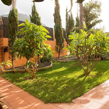 Villa Energy Garden à Bajamar  Extérieur photo