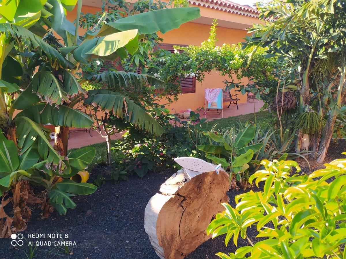 Villa Energy Garden à Bajamar  Extérieur photo
