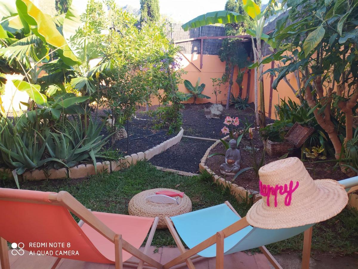 Villa Energy Garden à Bajamar  Extérieur photo