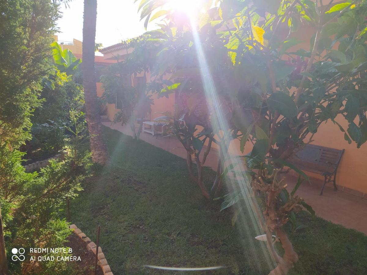 Villa Energy Garden à Bajamar  Extérieur photo