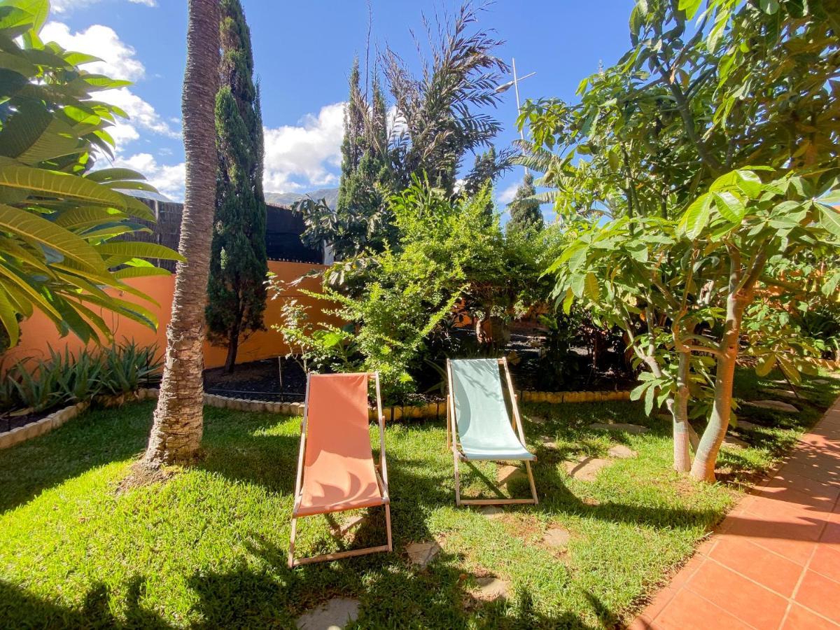 Villa Energy Garden à Bajamar  Extérieur photo