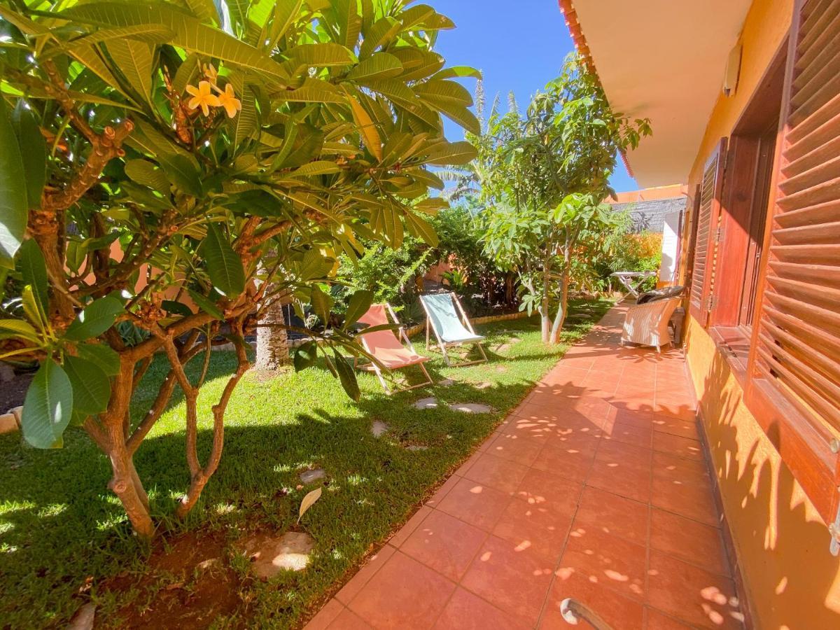 Villa Energy Garden à Bajamar  Extérieur photo