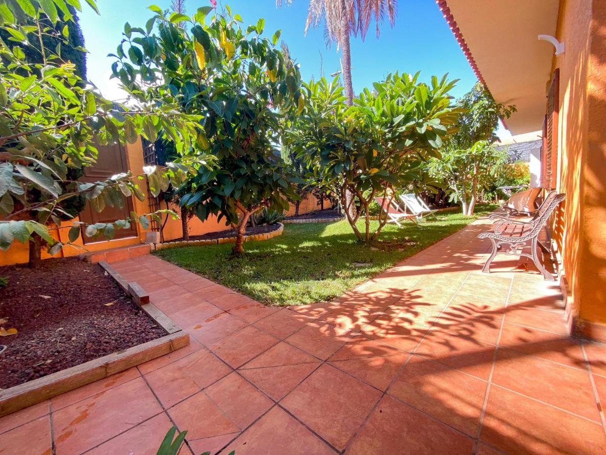 Villa Energy Garden à Bajamar  Extérieur photo