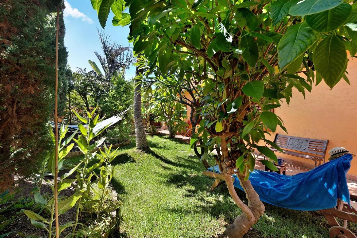 Villa Energy Garden à Bajamar  Extérieur photo